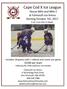 Cape Cod X Ice League House Mite and Mite C at Falmouth Ice Arena Starting October 7th, on 3 on the ½ sheet.