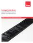 Schlegel Bristle Brush: superior filament and flame retardant brush WORLD S LEADING NON CORROSIVE RIGID BACKED