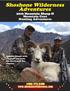 2016 Mountain Sheep & Mountain Goat Hunting Adventures