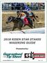 2018 RISEN STAR STAKES WAGERING GUIDE. Presented by: guaranteedtipsheet.com racingdudes.com Page 1! of 6!