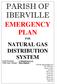 NATURAL GAS DISTRIBUTION SYSTEM