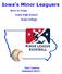 Iowa's Minor Leaguers