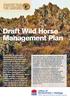 Draft Wild Horse Management Plan