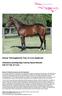 Dream Thoroughbreds Tale of Love Syndicate. Unnamed yearling Bay Colt by Smart Missile Out of Tale of Love