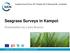 Seagrass Surveys in Kampot