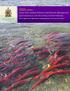 Fraser River Sockeye Fisheries and Fisheries Management and Comparison with Bristol Bay Sockeye Fisheries