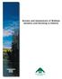 Review and Assessment of Walleye Genetics and Stocking in Alberta