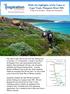 Walk the highlights of the Cape to Cape Track, Margaret River WA Friday 31st October - Sunday 2nd November