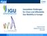 IGU. Immediate Challenges for Clean and Affordable Gas Mobility in Europe IGU WGCPARIS2015. Eugene Pronin Gazprom export LLC, IGU WOC