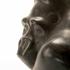 Front cover Gorilla Standing detail Bronze Edition of 9 29cm high