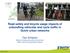 Road safety and bicycle usage impacts of unbundling vehicular and cycle traffic in Dutch urban networks