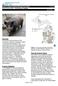 Upland Wildlife Habitat Management (645) EQIP Program Sheet Feral Swine Trapping. MI-EQIP11-1