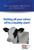 Getting all your calves off to a healthy start!
