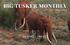 BIG TUSKER MONTHLY. May 2014