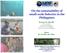 On the sustainability of small-scale fisheries in the Philippines
