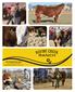ranch 2017 PRODUCTION SALE March 4, :00 PM Magness Livestock Market. Huron, SD