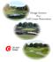 Design Services For Golf Course Renovation