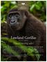 Lowland Gorillas DAY-BY-DAY ITINERARY