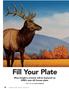 Fill Your Plate. Rhea Knight s artwork will be featured on DNR s new elk license plate. WRITTEN BY ZACK HAROLD