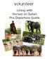 Living with Horses on Safari Pre Departure Guide