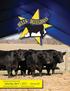 Joint Select Simmental Bull Sale Saturday, April 1, :00 pm EST Chenault Agricultural Center II Mount Sterling, Kentucky