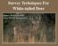 Survey Techniques For White-tailed Deer. Mickey Hellickson, PhD Orion Wildlife Management