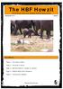 The HBF Howzit. This Month. All the latest news from Galagos Wildlife Conservation. Page 2 The Team at Work. Page 3 Volunteer s Corner