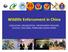 Wildlife Enforcement in China LEGISLATION, ORGANIZATION, ENFORCEMENT MEASURE, SUCCESS, CHALLENGE, PROBLEM& LESSON LEARNT
