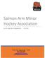 Salmon Arm Minor Hockey Association