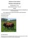 Balamore Farm Limited Thickness Sells Bull Sale