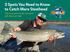 3 Spots You Need to Know to Catch More Steelhead. Take your game to the next level with these pro tips!