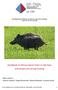 Handbook on African Swine Fever in wild boar and biosecurity during hunting