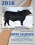 RIPPE GELBVIEH LAZY TV. 17 th Annual Bull Sale. SATURDAY, MARCH 12 1:00 P.M. Complimentary Lunch 12:00 W021. Our Herdsire