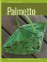 Volume 29: Number 2 > Spring Palmetto. Weaving a Field Basket Growing Native Ferns Natives Common to Florida and Nova Scotia