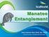 Manatee Entanglement. Claire Erlacher-Reid, DVM, Dipl. ACZM Veterinarian, SeaWorld Orlando