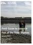Field Guide to Juvenile Fish of the Tidal Thames