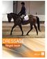 DRESSAGE Project Guide