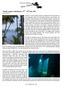 Chuuk Lagoon; trip Report: 17 th 24 th July 2011 Jamie Obern