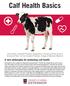 Calf Health Basics. A core philosophy for protecting calf health