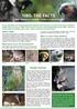 Possum Rats Rabbit Ferret Stoat Feral cat Photos: AHB, Nga Manu Images, ORC, ARC, NRC. Tough choices