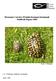 Hermann's tortoise (Testudo hermanni hermanni) Studbook Report 2003