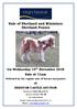 Sale of Shetland and Miniature Shetland Ponies