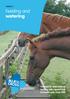 HORSE 7. Feeding and watering. The charity dedicated to helping sick, injured and homeless pets since 1897.