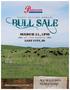 BULL SALE. j AT THE RA NCH j LAKE CITY, SD MARCH 21, 1PM ALL BULLS 100%% GUARANTEED! THIRTY-SECOND ANNUA L