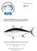 An update of the application of the A-SCALA method to bigeye tuna in the western and central Pacific Ocean