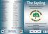 The Sapling. Official Match Day Programme of Sherwood Colliery FC U21 s. Worksop Van Hire North Midlands Development League South Division