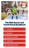 The Mini-Soccer and Youth Futsal Handbook