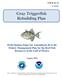 Gray Triggerfish Rebuilding Plan