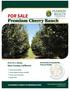 FOR SALE ± Acres Kern County, California.   CA BRE # Exclusively Presented By: Pearson Realty