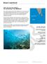Laamu Atoll, Gan Island, Maldives Go snorkeling in the Maldives!